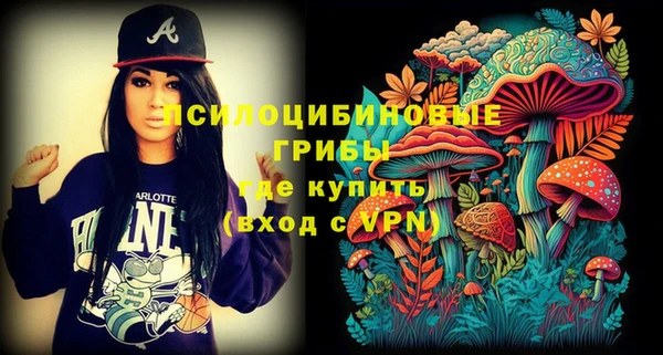 спиды Киреевск