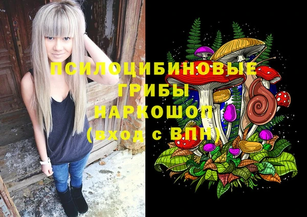 стафф Кинешма