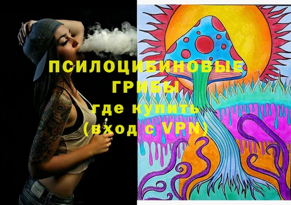 стафф Кинешма