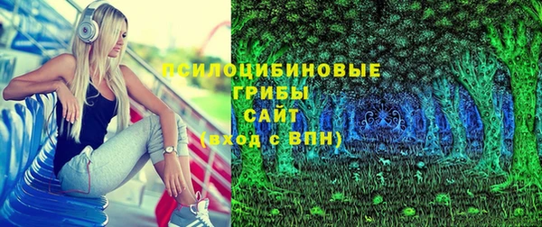 спиды Киреевск