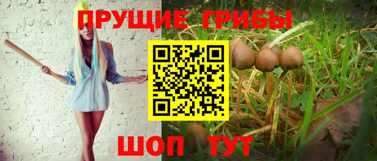 Псилоцибиновые грибы Psilocybine cubensis  Псилоцибиновые грибы мицелий  Кольчугино  Вход с VPN 